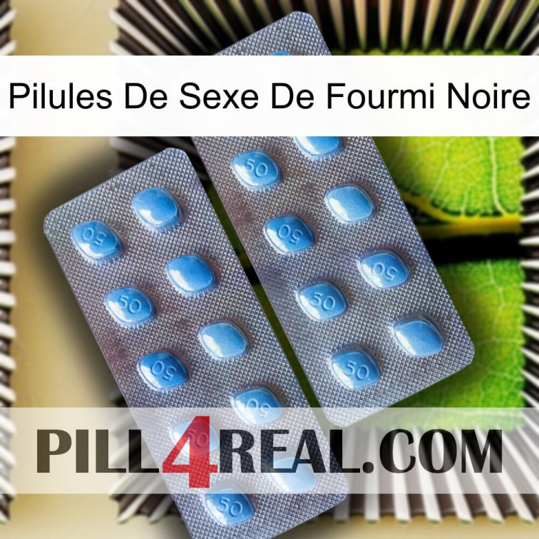 Black Ant Sex Pills viagra4